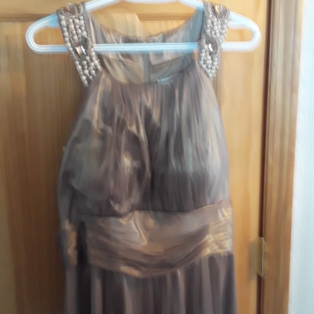 Davids beautiful gown